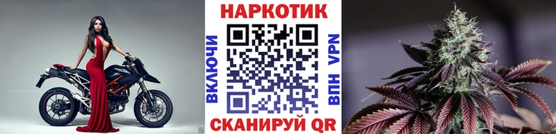 Какие есть наркотики Владивосток Галлюциногенные грибы Меф мяу мяу Гашиш Конопля